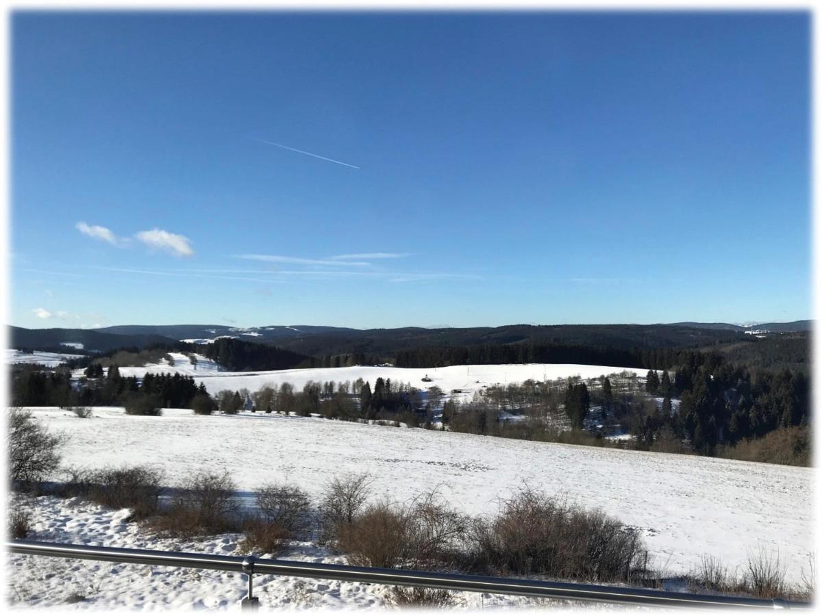Ferienwohnung Fuchsbau Im Eg Des Ferienhauses Falkenhoehe Oberweißbach Exteriér fotografie